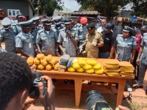 Customs Command seizes 3,699 parcels of cannabis sativa in Ogun