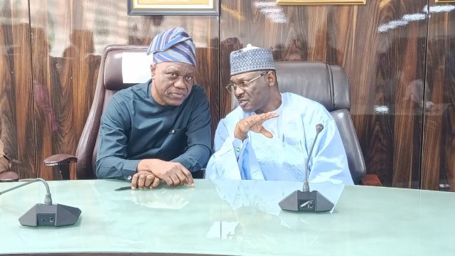INEC partners NBS on data synergy for national development