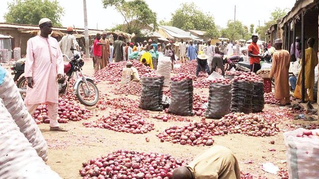 Onion farmers blame flooding, climate change for price hike