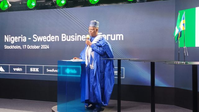Shettima woos Swedish investors, says Nigeria ready for business