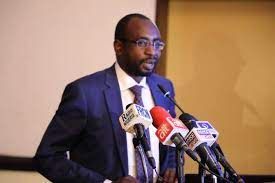 FG launches plan for standardised websites across public institutions