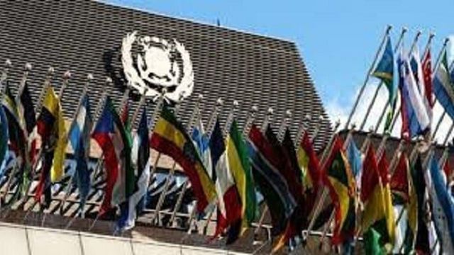 IMO elections: MOWCA engaging 25 member-countries to vote for Nigeria — Secretary-General