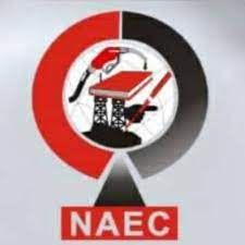 NAEC set to hold annual conference, as Nigeria’s energy future, investment top agenda
