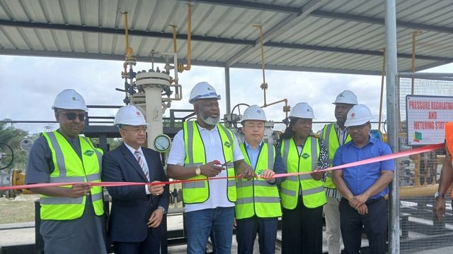 NIPCO Gas, NGML commission over 100 mmscfd capacity gas distribution in Lekki