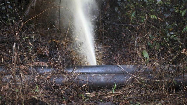 Pipeline shadows: The human and economic cost of oil theft in Niger Delta