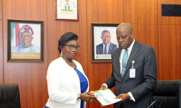 Dabiri-Erewa commends CBN governor for launching Non-resident Nigerian accounts
