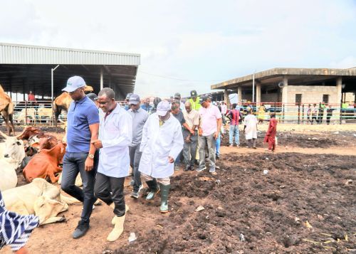 Lagos shuts Oko-Oba abattoir over unsanitary activities, waste mismanagement