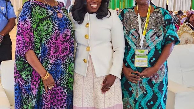 White House Advisor on Diaspora engagement mulls partnership with FG to ramp up investments