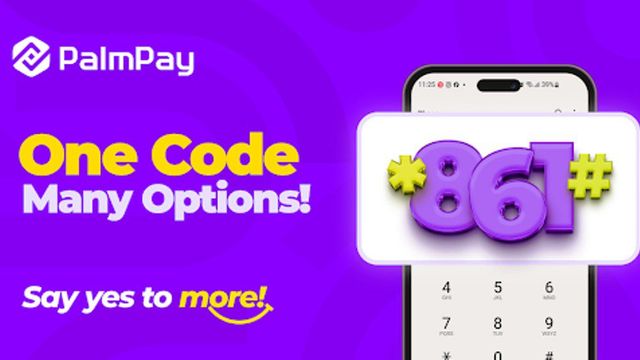 Palmpay unveils USSD code for enhanced financial access
