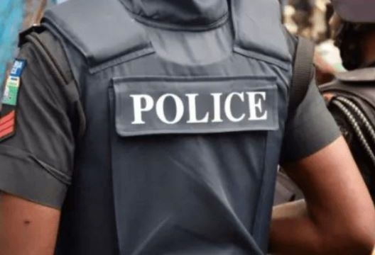 Ekiti: Police Commissioner orders probe into viral assault video involving officers