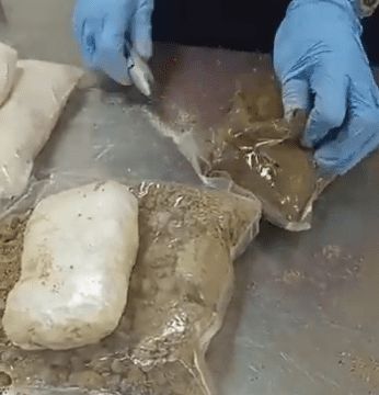 NDLEA intercepts drugs concealed in melon seeds, yam flour