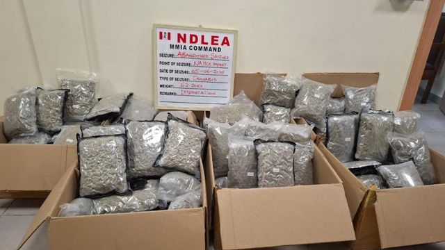 NDLEA seizes 66 parcels of cannabis disguised as green tea at Lagos Airport