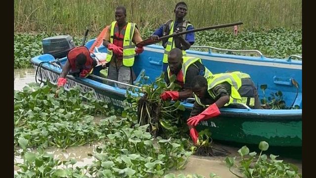 Yuletide: NIWA Lagos clears Omu creek, Ikorodu water channels of water hyacinth