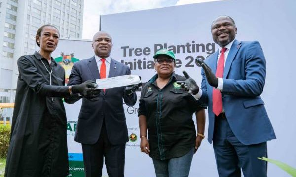 Africa’s Green Revolution: UBA Foundation to plant one million trees in a year