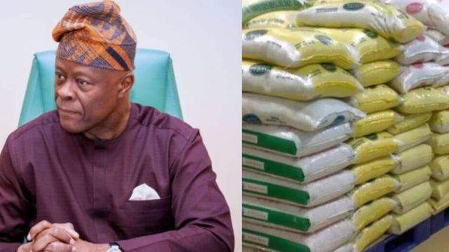 How Tinubu’s reforms have made rice importation drop to 50% – Agric Minister