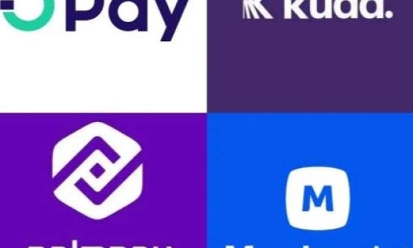 E-transfer levy: Moniepoint, OPay, others to start deducting N50 from Sept 9
