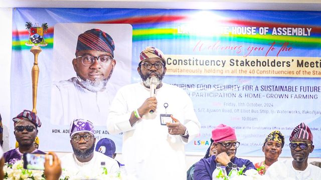 Food Security: Hon Adewale Temitope calls for greater involvement in subsistence farming