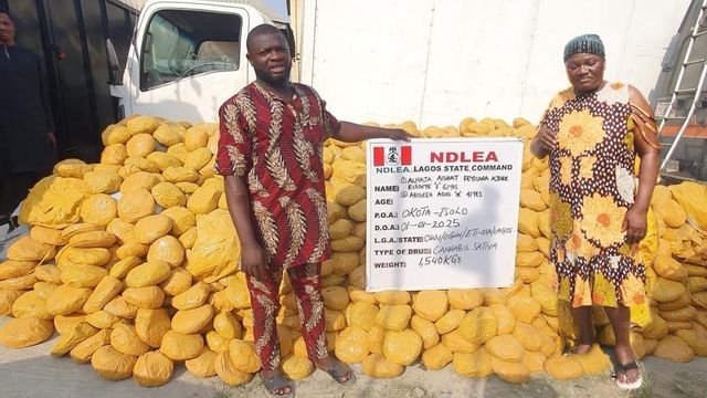 NDLEA nabs wanted drug kingpin