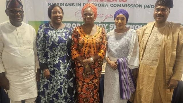 Diaspora remittances hit $90bn in five years – NIDCOM CEO