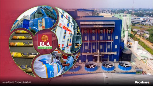BUA Foods vs Nestle Nigeria Plc: BUA Foods triumphs