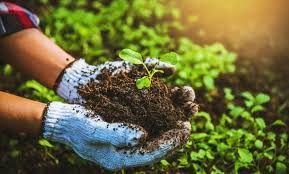 Food security: stakeholders pledge to increase agriculture budget for 2025