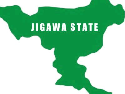 Jigawa Taskforce advocates for handover of Baturiya Wetland to FG