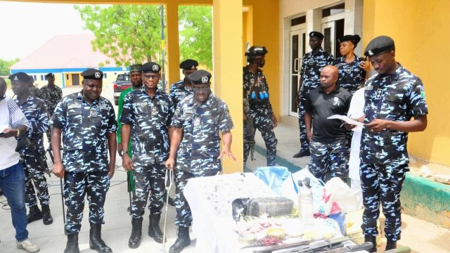 Police arrest 210, seize drugs, weapons in Borno