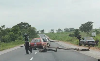 Lawmaker seeks reduction in checkpoints on Lagos-Badagry expressway
