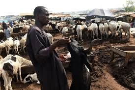 Gombe trains 67 livestock farmers on pasture development