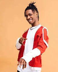 Hold Naira Marley, Zinoleesky responsible if anything ever happens to me – Lil Smart