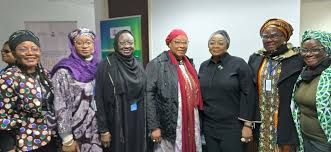 Bridging gender digital divide: NITDA unveils inclusion strategy