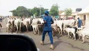 Ekiti Gov’t blames external saboteurs as state intensifies moves to end farmers-herders crisis