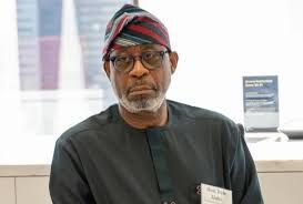 Dele Alak has said the Federal Government has arrestwd a total of 300 illegal miners across the country