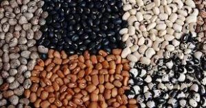 Beans price crashes by over 100% amid increased yields
