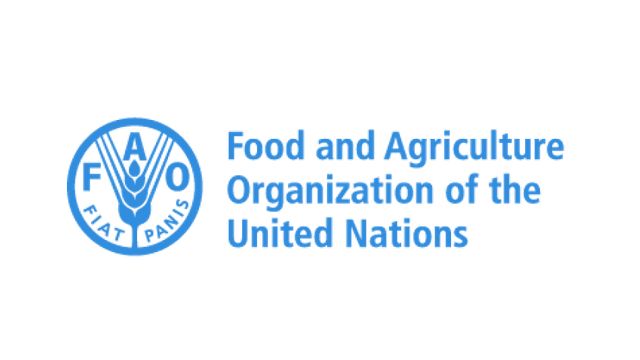 Global food prices dropped 2% in 2024 — FAO