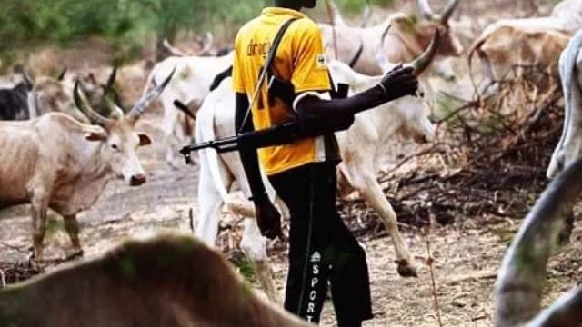 Tragedy in Edo: Farmer, two labourers killed in herdsmen attack in Ikpoba-Okha