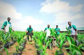 Ebonyi Govt. offsets N300m IFAD-VCDP counterpart fund—Commissioner