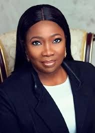 N673m diaspora investments recorded in 2024, more deals coming in 2025 – Dabiri-Erewa