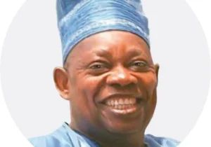 June 12: Tinubu fulfilling Abiola’s Hope 93 vision —Ex-lawmaker