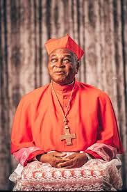 Onayeikan tells northern elites that resolving regional issues will solve Nigerian’s challenges