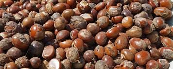 Stop raw exportation, start building Nigeria’s wealth