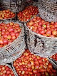 Tomato farmers attribute price hike to Sallah, low production