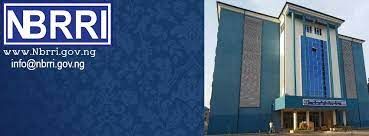 Alternative building materials to cut costs, boost housing affordability — NBRRI