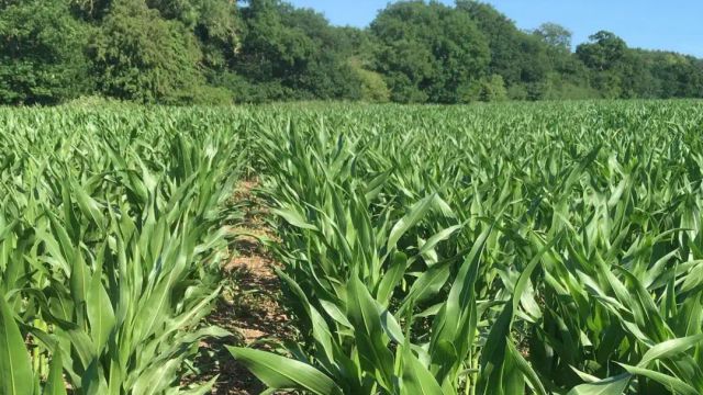 FG pledges support to addressing post-harvest losses