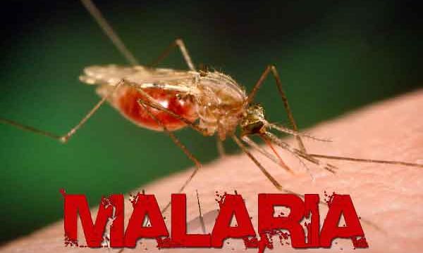 Dangot, Otedola, Elumelu lead govt efforts to eradicate malaria