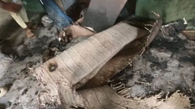 Angry man sets Kano Mosque on fire, worshipers hospitalized