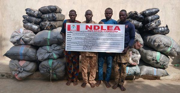NDLEA seize hard drugs hidden in frozen snails, electrical bulbs