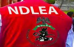 NDLEA detains 22 suspects, recovers illicit drugs, weapons in Kano