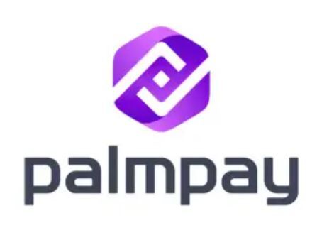 Increased smartphone adoption to boost financial inclusion — PalmPay