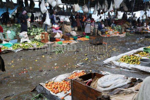 Experts warn as Bauchi meat, fruits sellers expose residents to Cholera